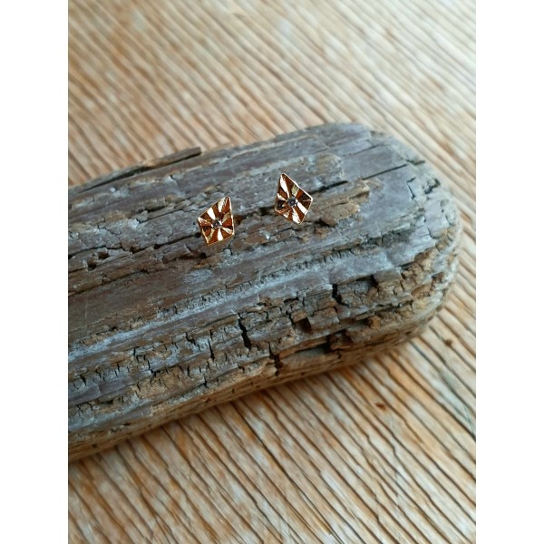 Hanka IN auskarai su cirkoniu